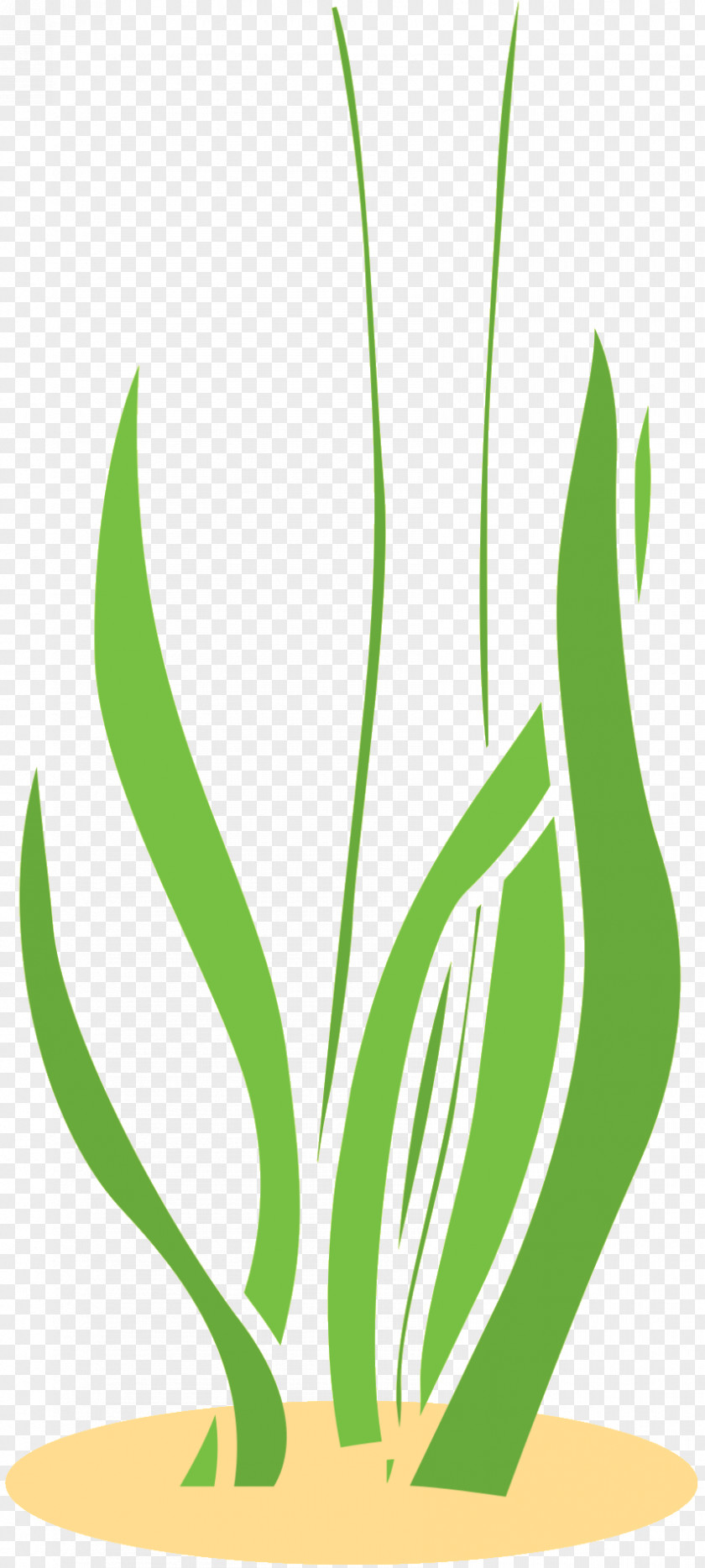 Grasses Clip Art Plant Stem Commodity Product Design PNG