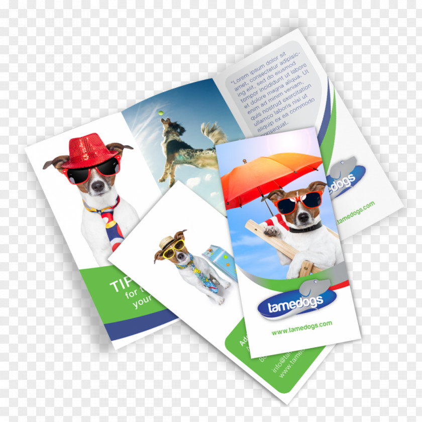 Mockup Folder Brochure Graphic Design Printing PNG