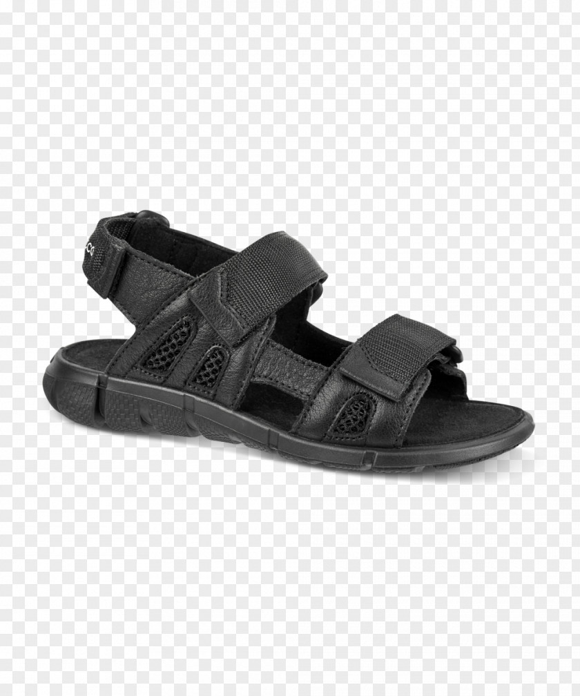 Sandal ECCO Shoe Leather Crocs PNG