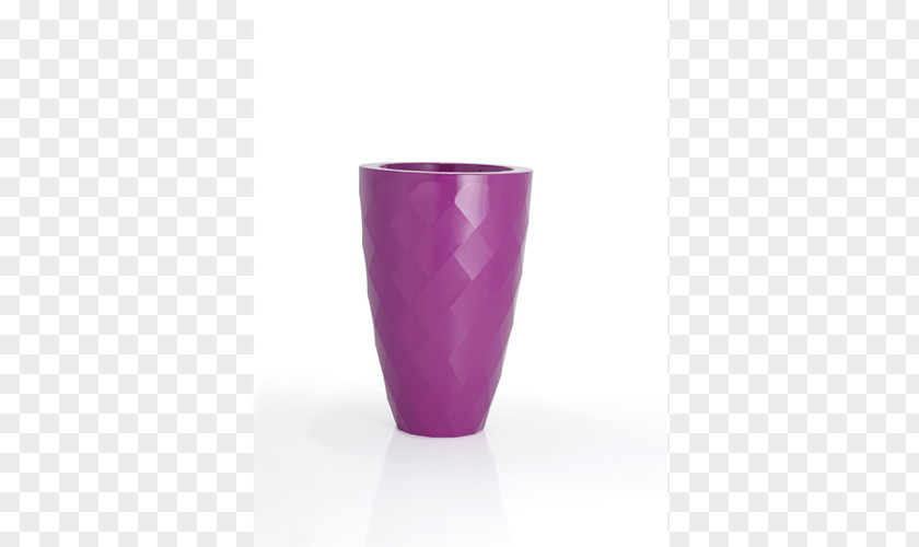 Vase Cup PNG