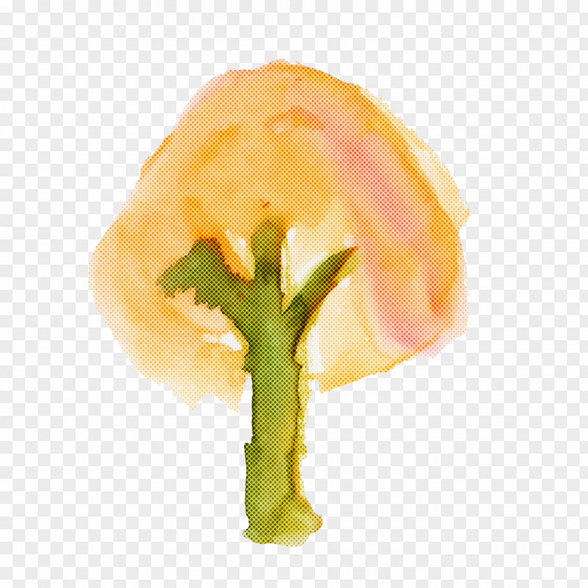 Vegetable Plant Food Leaf Broccoli PNG