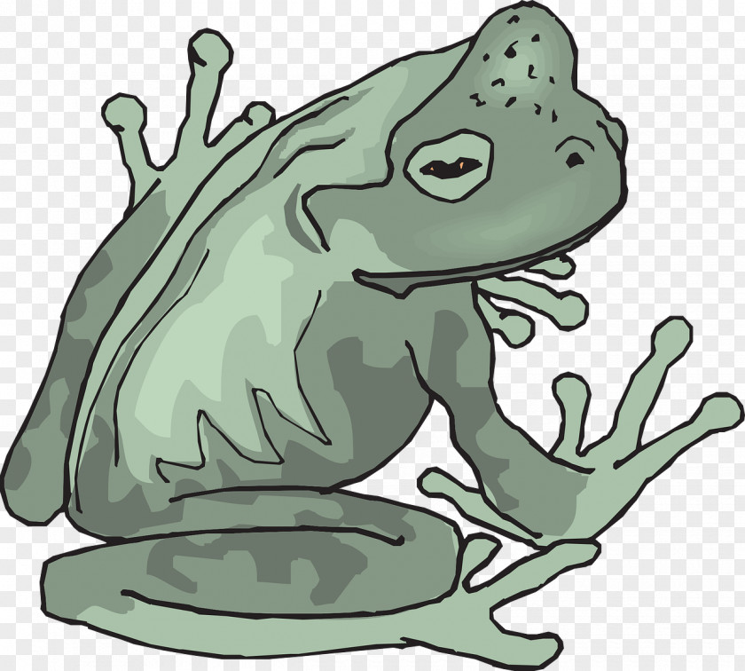 Amphibian True Frog Clip Art PNG