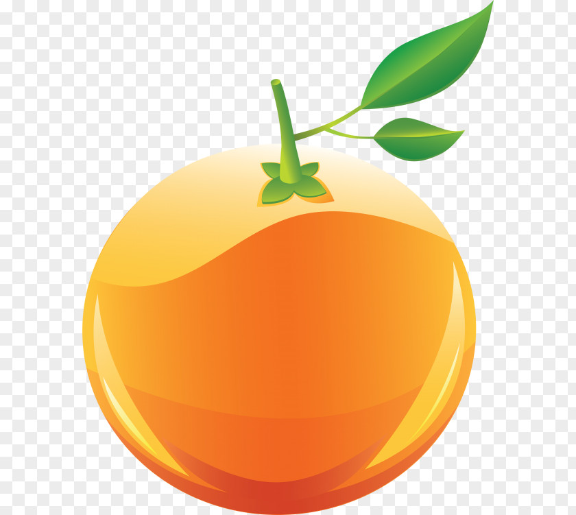 Bank Orange Clip Art Transparency Openclipart PNG