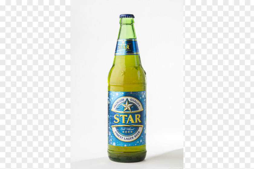 Beer Lager Bottle Glass PNG