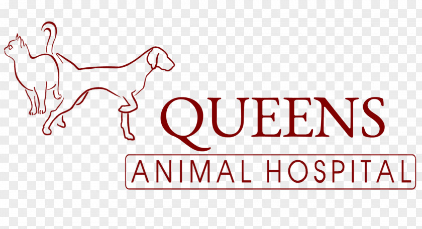 Dog Queens Animal Hospital Veterinarian Clinique Vétérinaire Veterinary Medicine PNG
