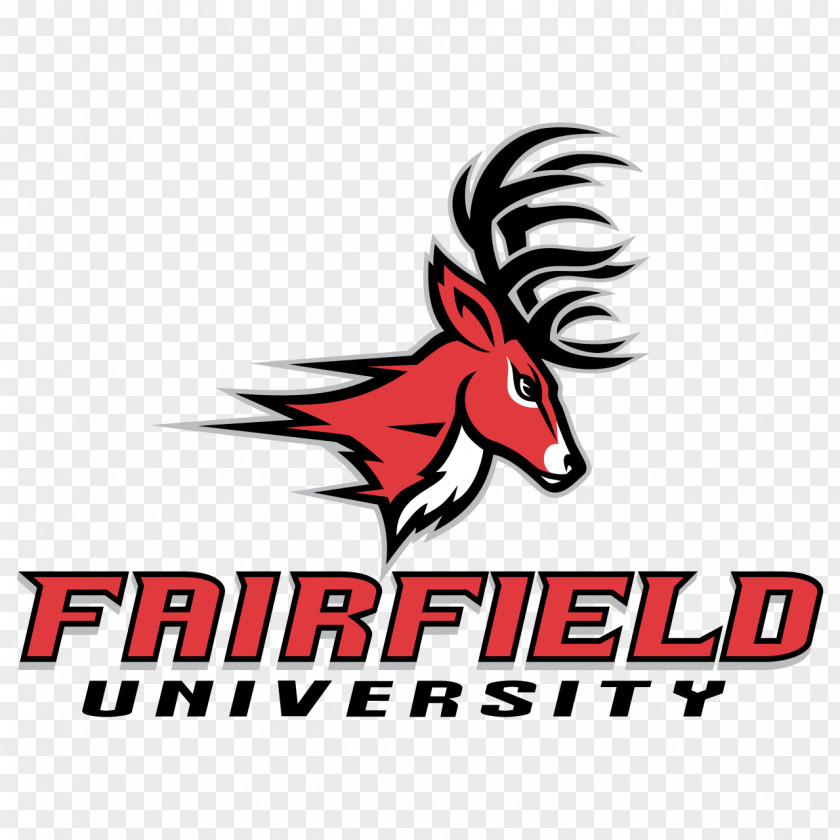 Field Hockey Fairfield University Stags Men's Basketball Lacrosse Women's Bridgeport PNG
