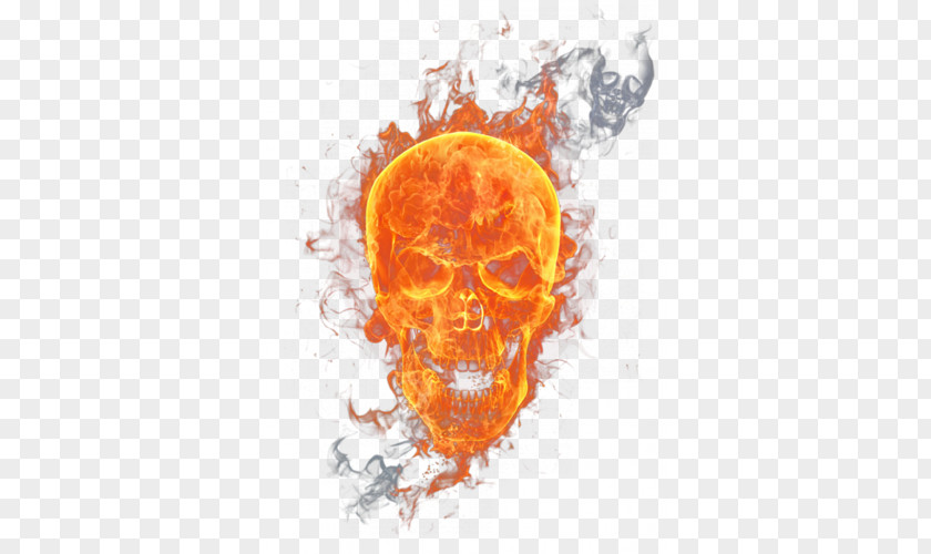 Flame Skull U9ab7u9ac5 Combustion PNG