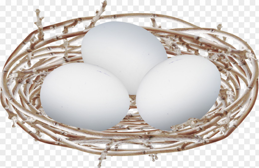 Floating Small Nest Eggs Egg Bird PNG