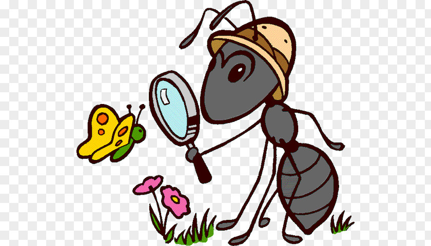 Insect Ant Cartoon PNG