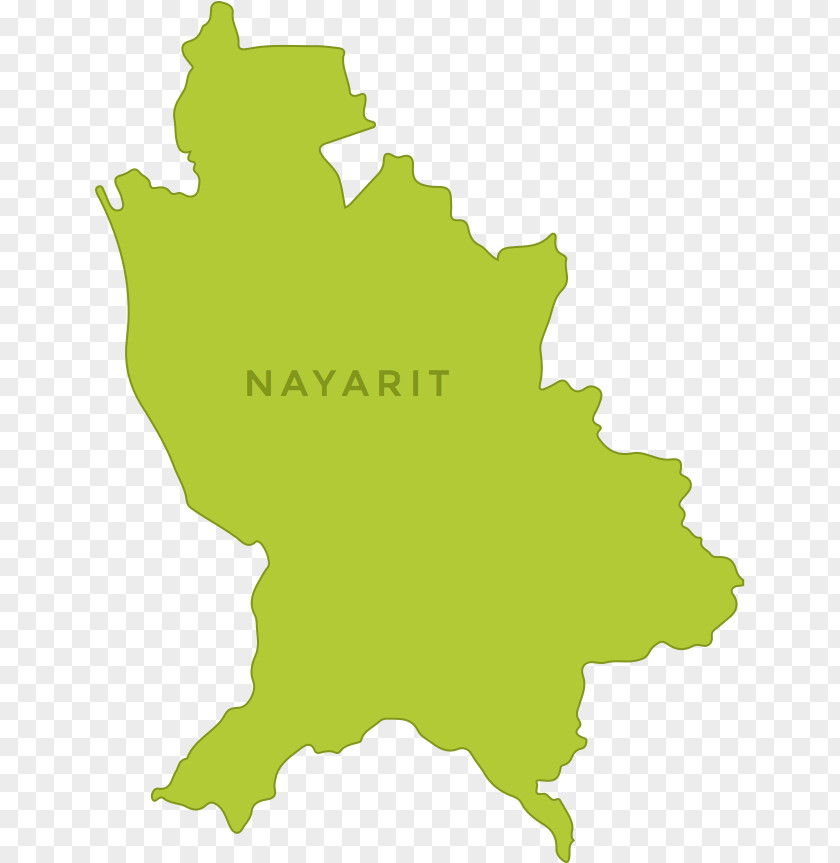 Map Nayarit Vector Graphics Image Illustration PNG