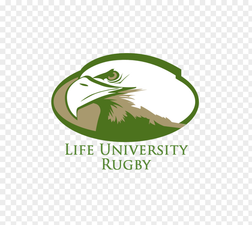 School Recruit Life Running Eagles University Of Portland College Massachusetts Boston PNG