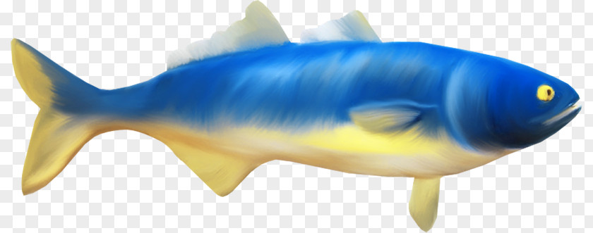 Shark Milkfish Clip Art PNG