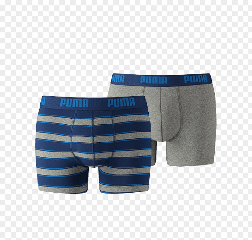 Six Pack Abs Briefs Blue Underpants Boxer Shorts Puma PNG