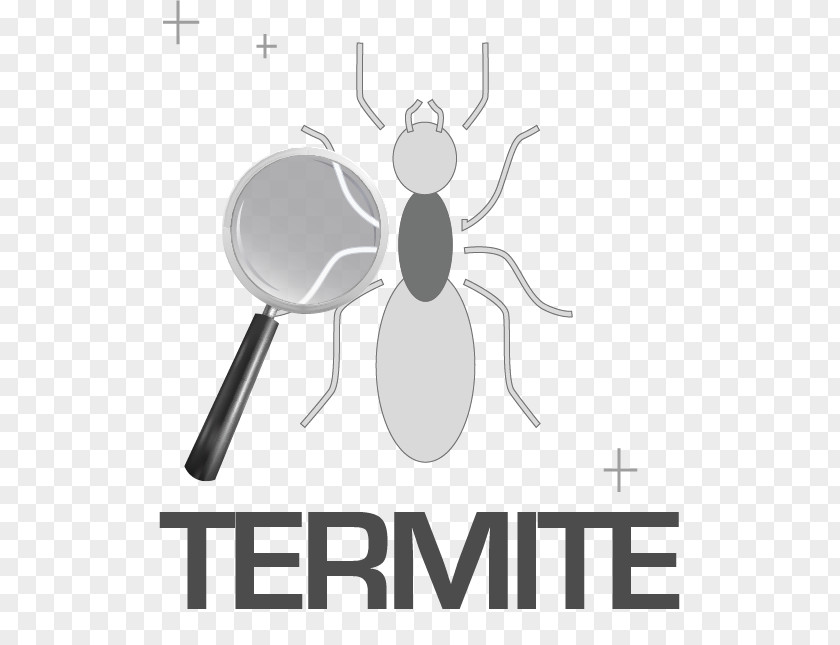 Termite Washington, D.C. Export–Import Bank Of The United States Export Credit Agency PNG
