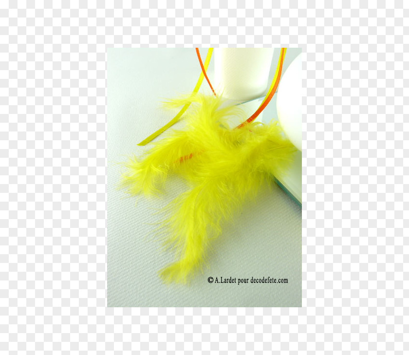 Feather Yellow Sachet PNG