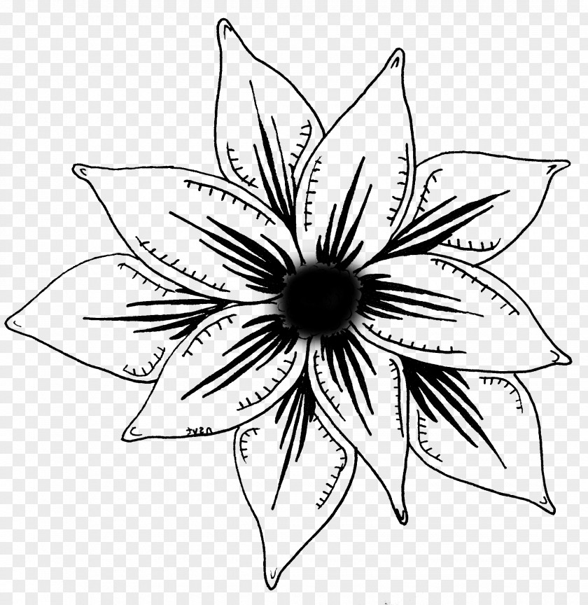 Floral Design Drawing Cut Flowers /m/02csf PNG