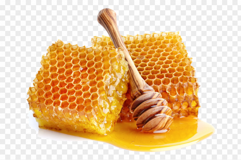 Honey Honeycomb Bee Comb Breakfast PNG