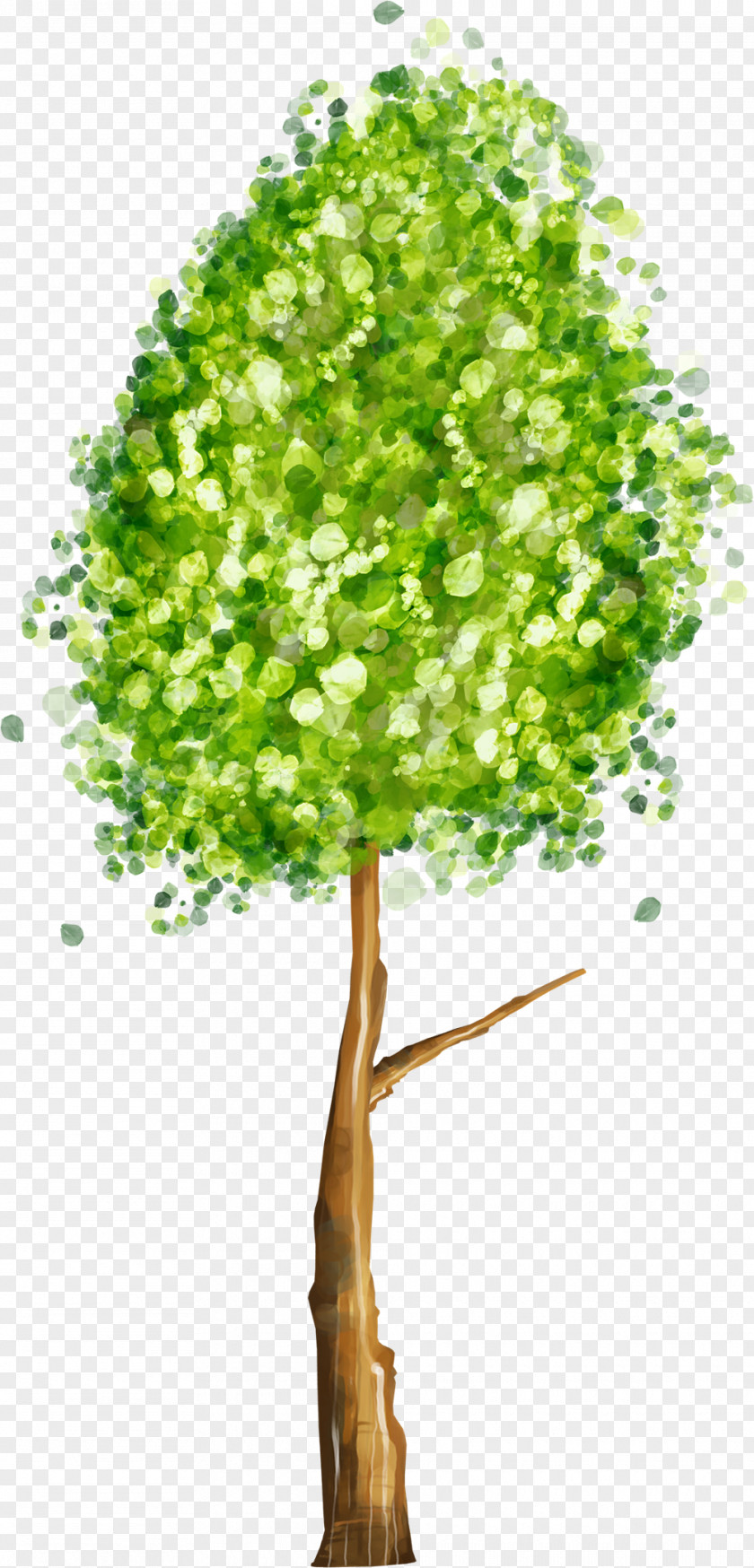Tree Trunk Ficus Religiosa Drawing Royalty-free Cartoon Clip Art PNG