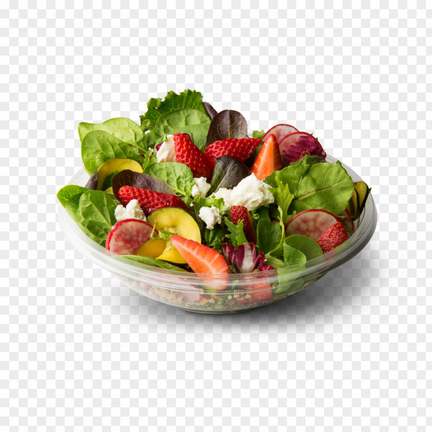 Avocado Goat Cheese Vegetarian Cuisine Spinach Salad Mesclun PNG