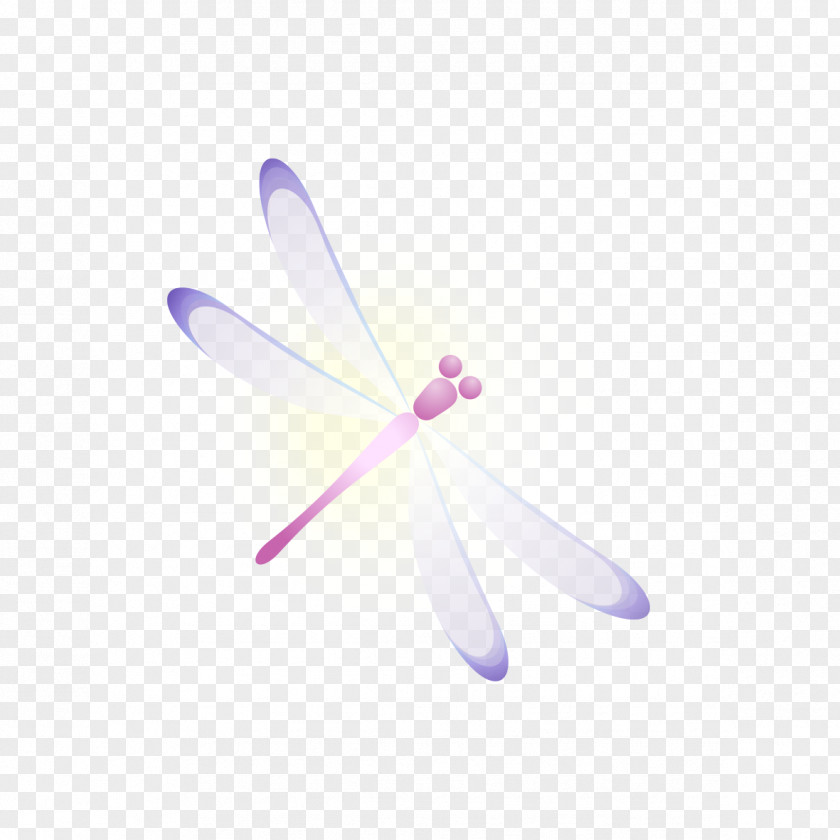 Beautiful Dragonfly Insect Bird Mosquito Animal PNG
