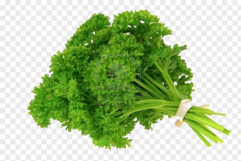 Bok Choy Parsley Organic Food Herb Vegetable PNG