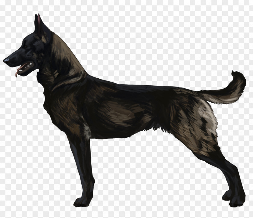 Malinois Dog Dutch Shepherd Kai Ken German Formosan Mountain PNG