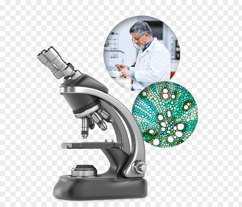 Microscope Optical Microscopy PNG
