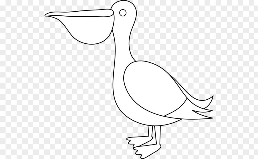 Pelican Cliparts Duck White Line Art Clip PNG