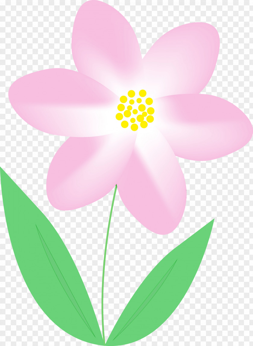 Petal Pink Flower Plant Pedicel PNG