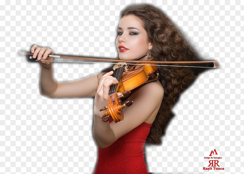 Violin Violone Cello Viola Fiddle PNG