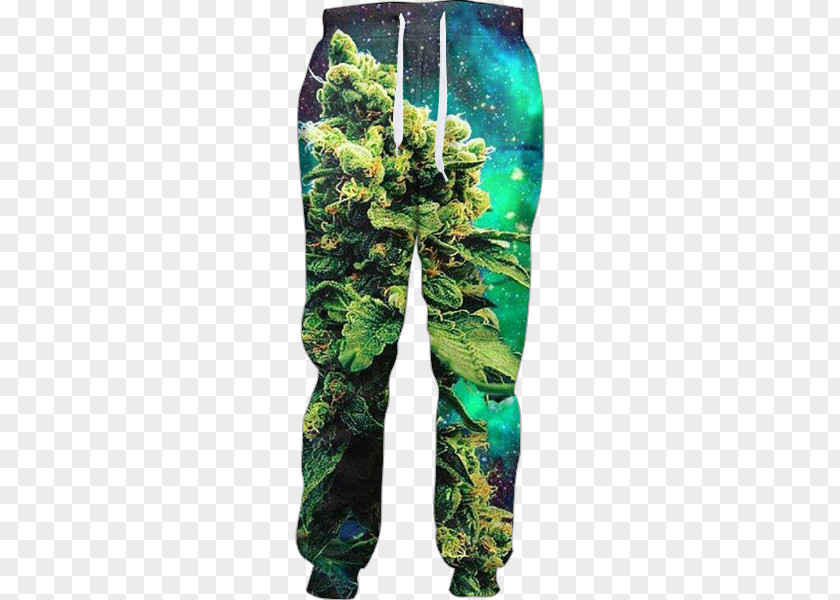 Weed Tracksuit Sweatpants Clothing Hoodie PNG