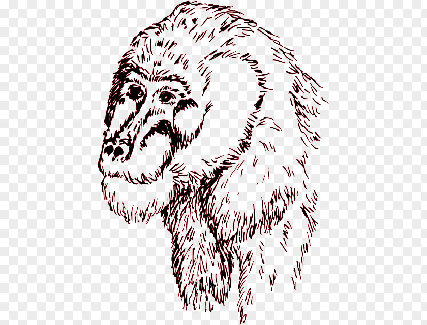 Dog Common Chimpanzee Drawing PNG