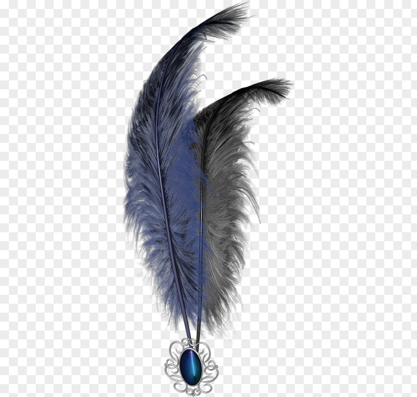 Feather Blog Download Clip Art PNG