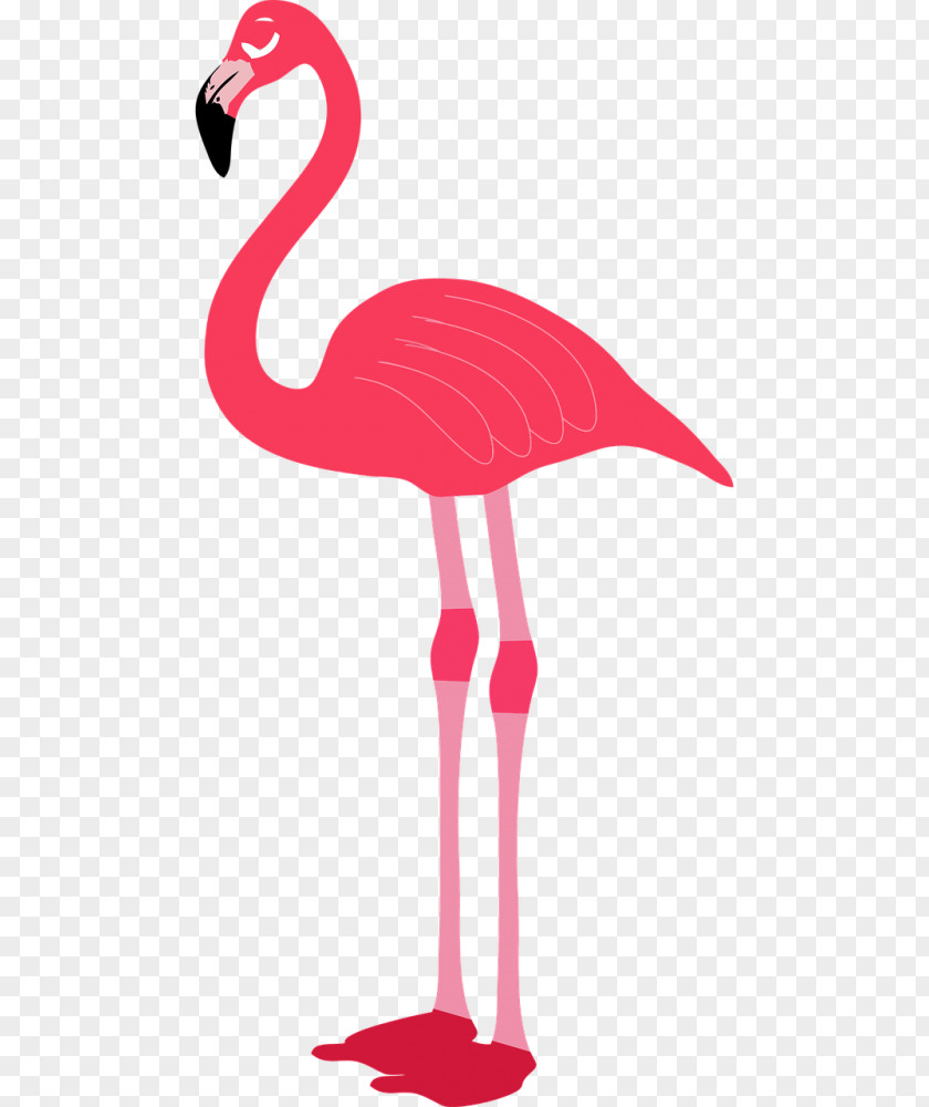 Flamingo Clip Art Image PNG