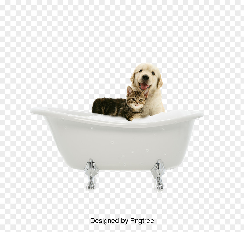 Puppy Dog Breed Cat Grooming PNG
