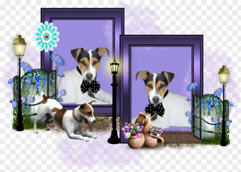 Puppy Dog Breed Jack Russell Terrier American Pit Bull PNG