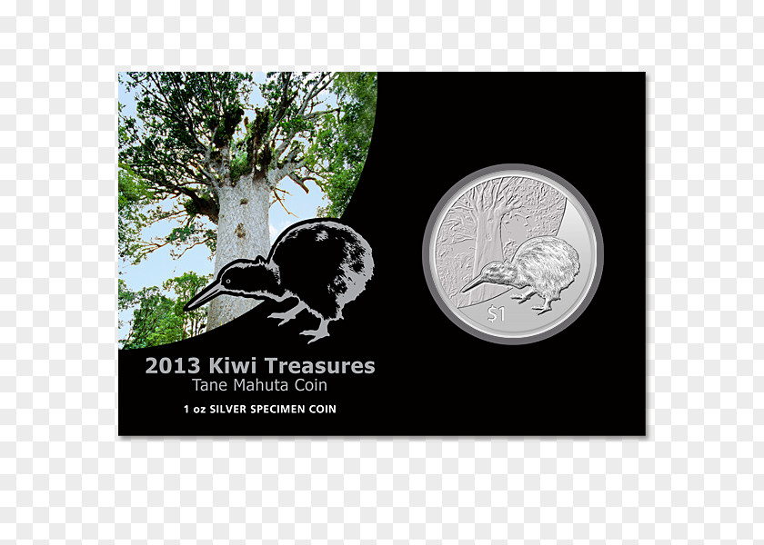 Coin New Zealand Silver Cent Klub Numizmat PNG