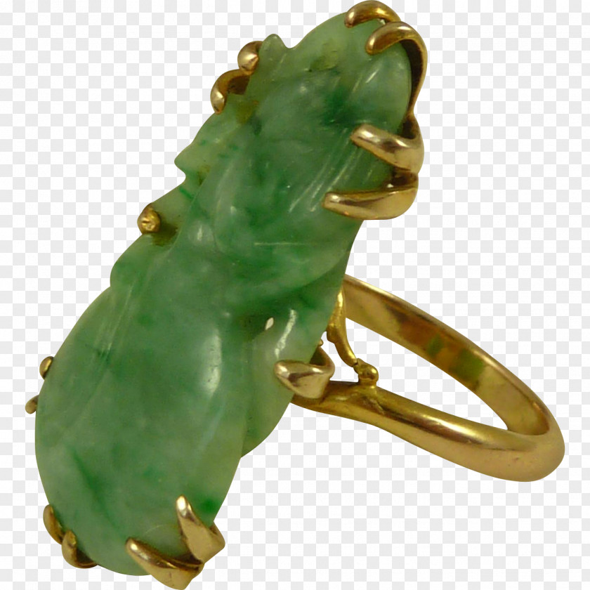 Eggplant Amphibian Jewellery Tree Frog Gemstone PNG