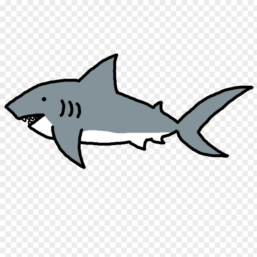 Free Shark Pictures Great White Bull Content Clip Art PNG