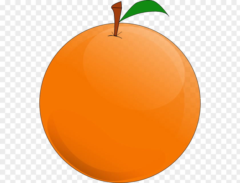 Orange Mandarin Onigiri Tangerine Sticker PNG