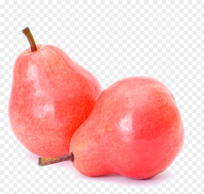 Sydney Pyrus Xd7 Bretschneideri Fruit Pear PNG