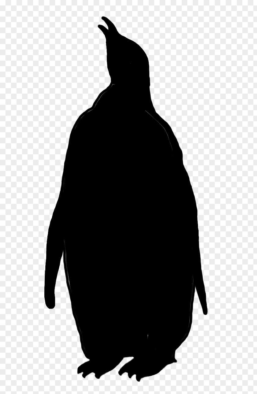 Penguin Fauna Silhouette Landfowl Beak PNG