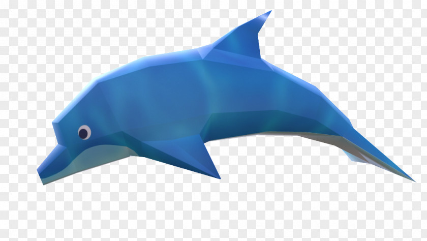 Shark Common Bottlenose Dolphin Tucuxi Paper PNG