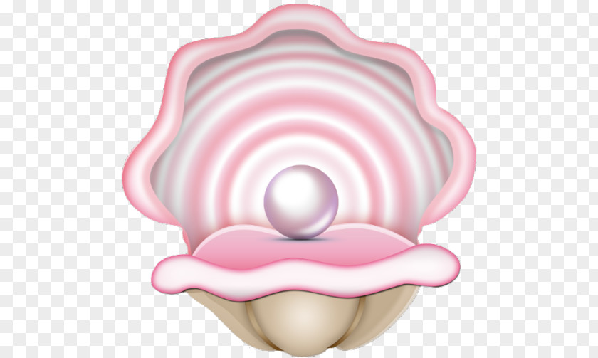 Shell Pearl Oyster Clam Clip Art PNG