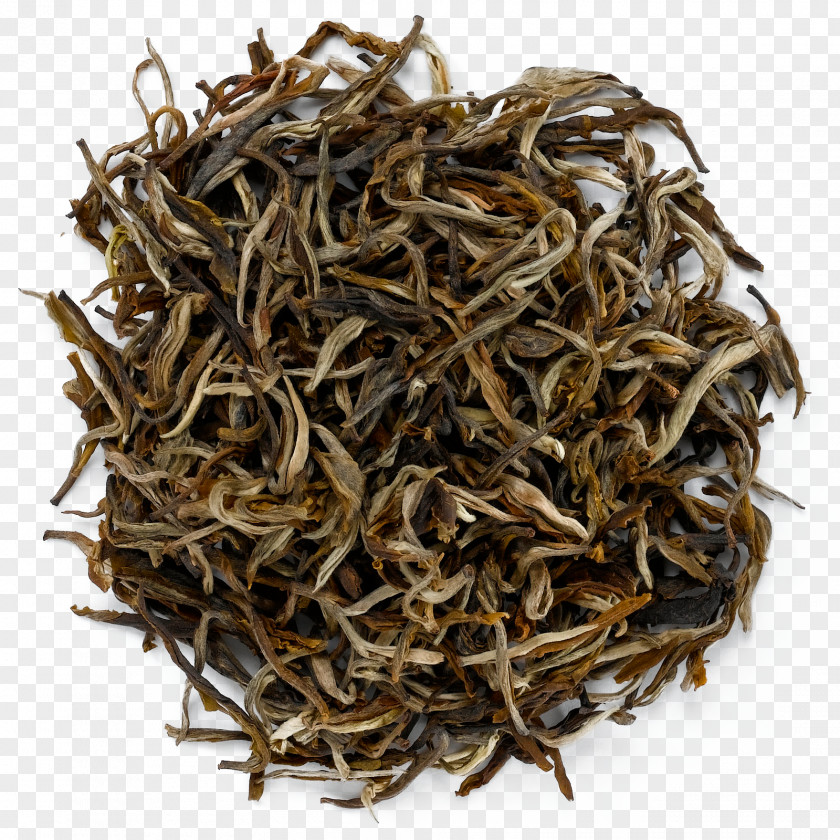 Tea Darjeeling Nilgiri White Dianhong PNG