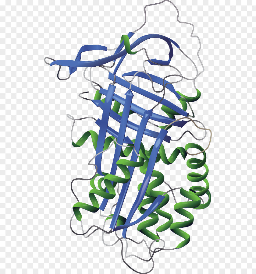 Alpha-1-proteinase Inhibitor Alpha 1-antitrypsin Deficiency Liver Disease PNG