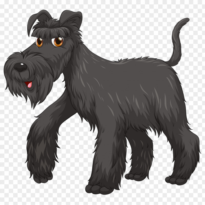 American Staffordshire Terrier Pitbull Miniature Schnauzer Standard Giant Puppy Yorkshire PNG