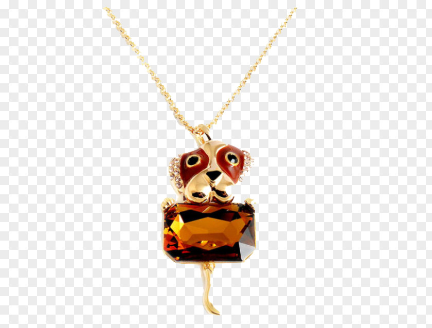 Animal Jewelry Locket Necklace PNG