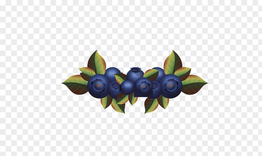 Blueberry Bilberry Fruit PNG