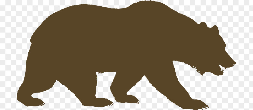 Grizzly Bear Drawing Transparent Vector Graphics Silhouette American Black PNG